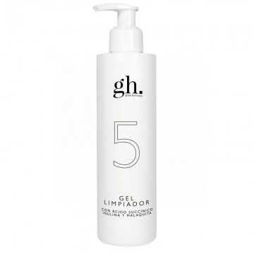 GH 5 GEL LIMPIADOR 250ML