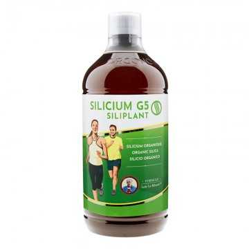 SILICIUM G5 SILIPLANT 1...