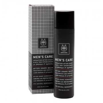 APIVITA AFTER SHAVE CON...